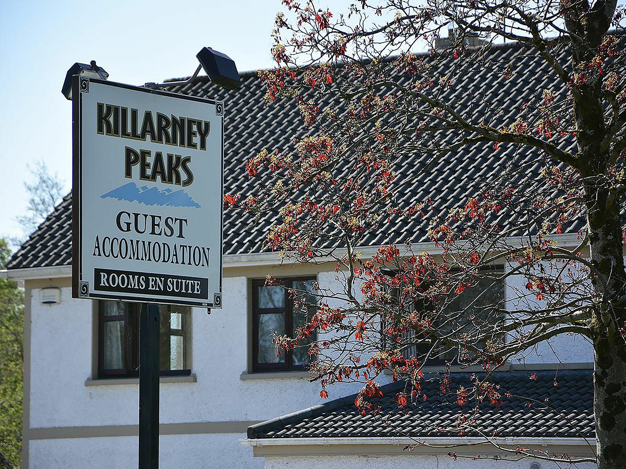 Killarney Peaks Guesthouse Экстерьер фото